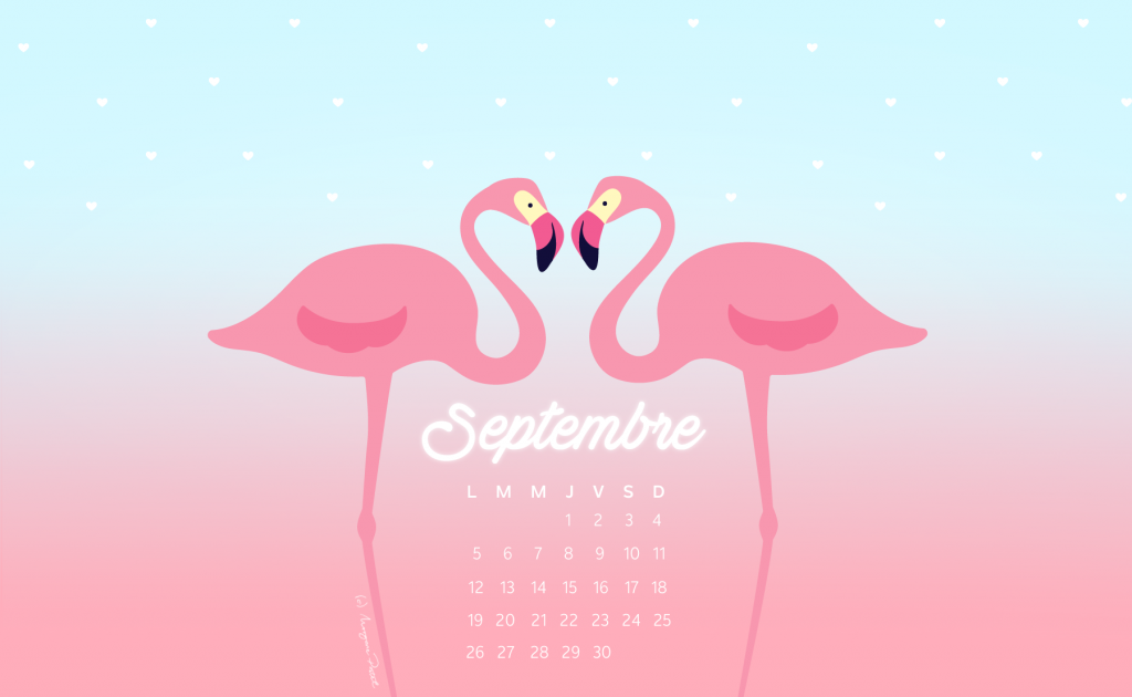 wall_september16