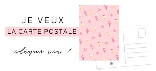 carte postale flamant rose glace summer