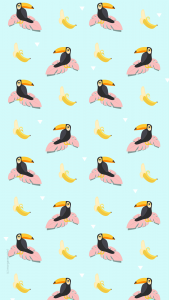 wallpaper summer toucan