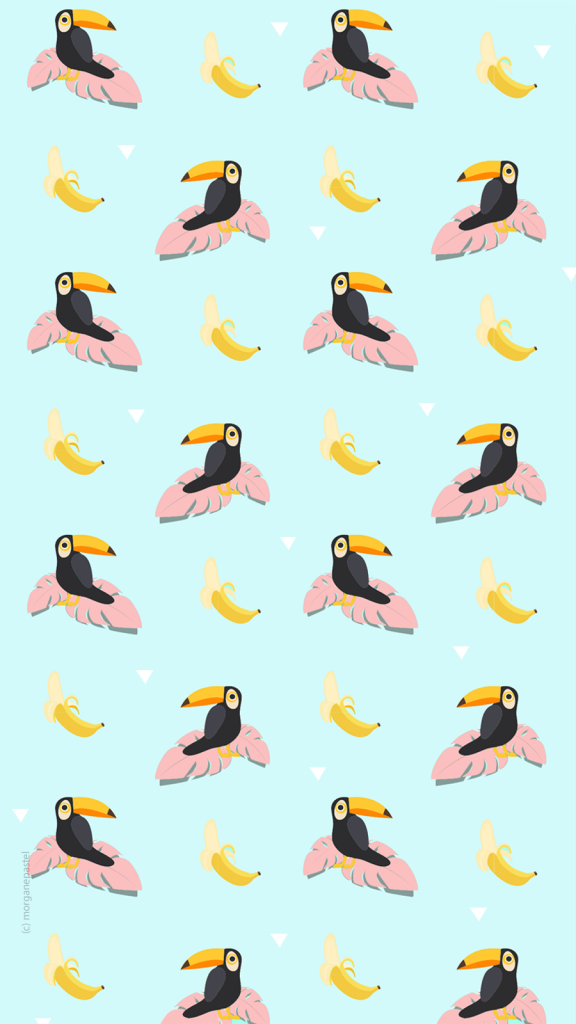 wallpaper summer toucan