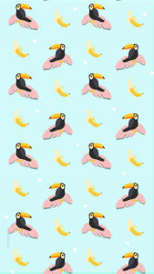 wallpaper summer toucan août 2017