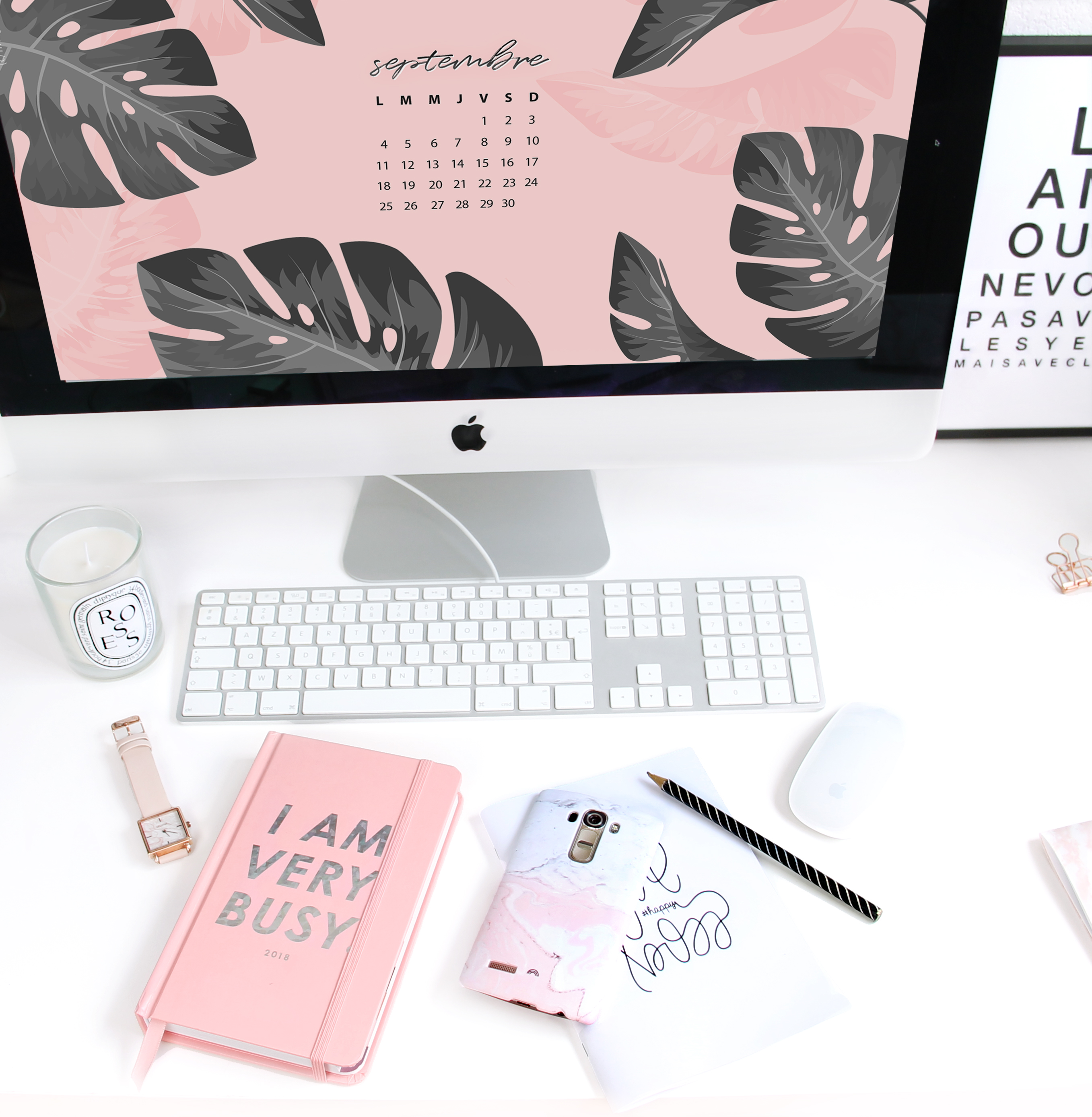 Fond Ecran Palmier Organisation Bureau