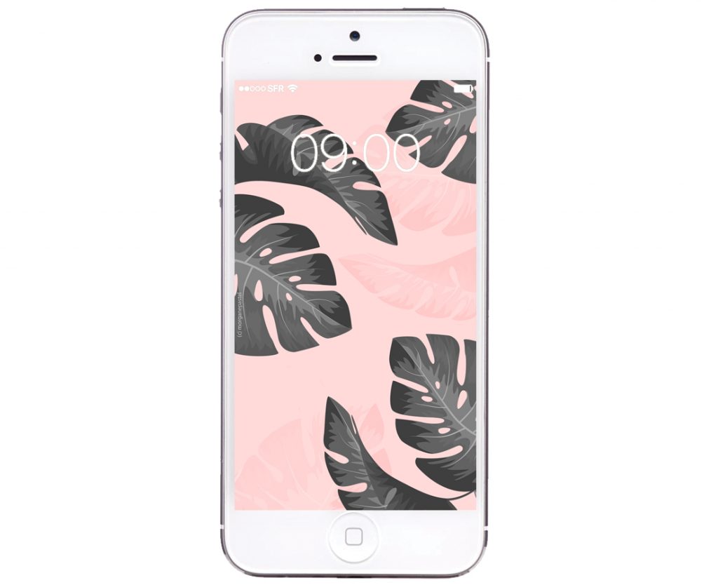 free wallpaper palmier tropical