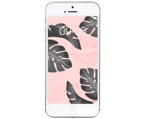 free wallpaper palmier tropical