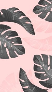 wallpaper palmier tropical black pink