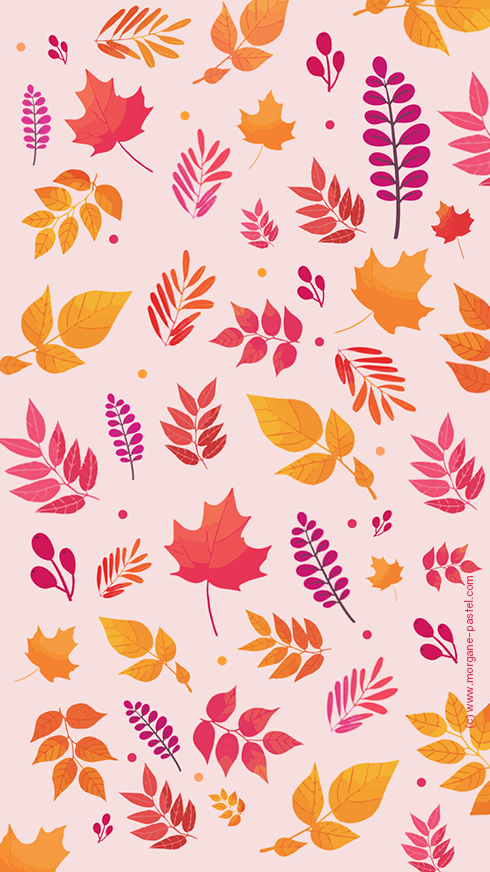 wallpaper automne octobre feuille free download