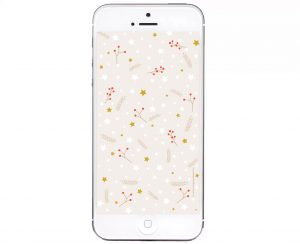 fond ecran iphone janvier hiver