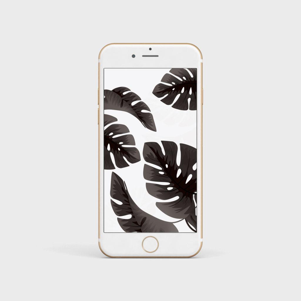 wallpaper palmiers tropical