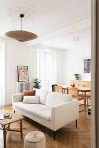 salon moderne contemporain
